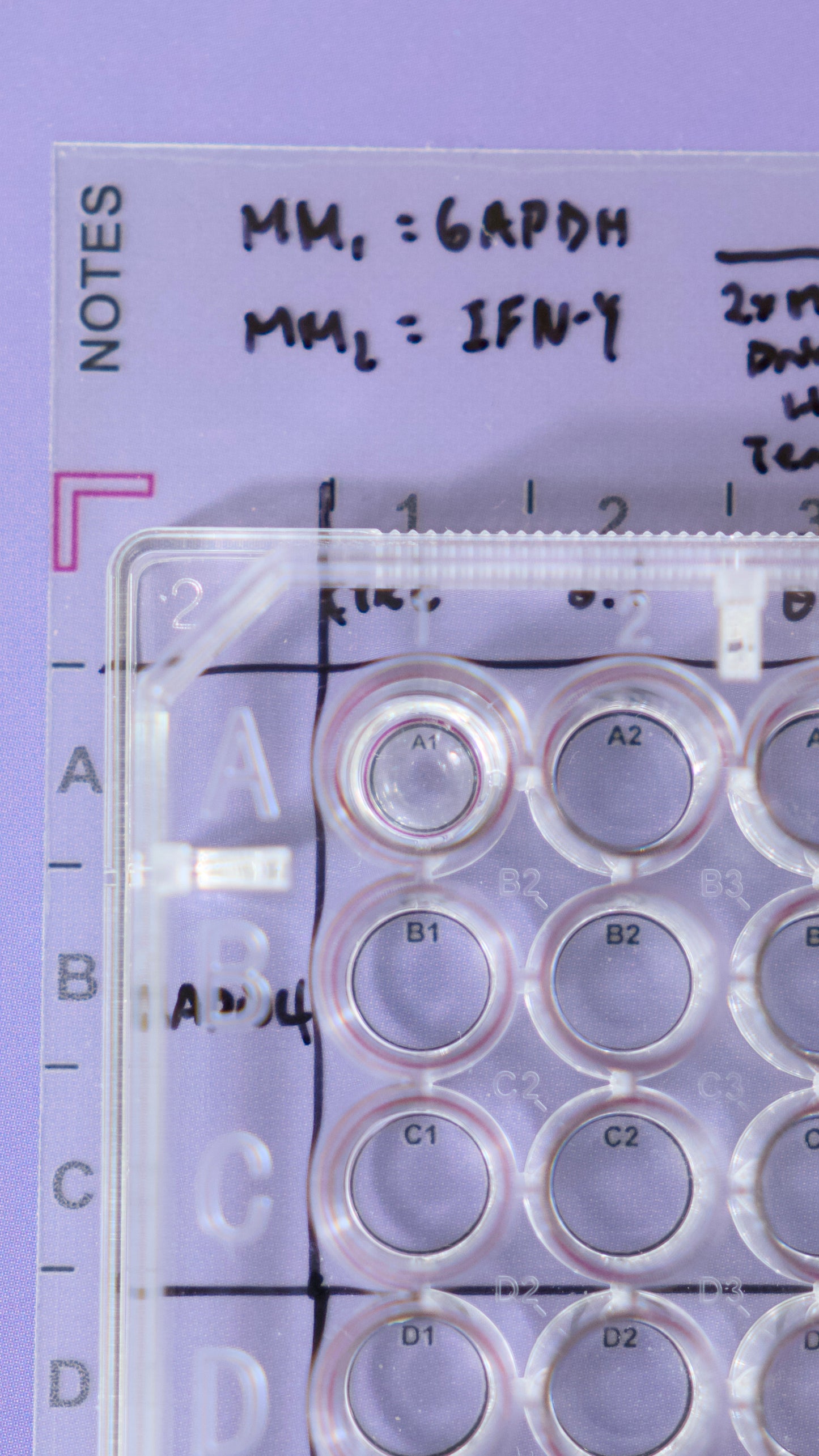 96 Well Microplate Template Sticker