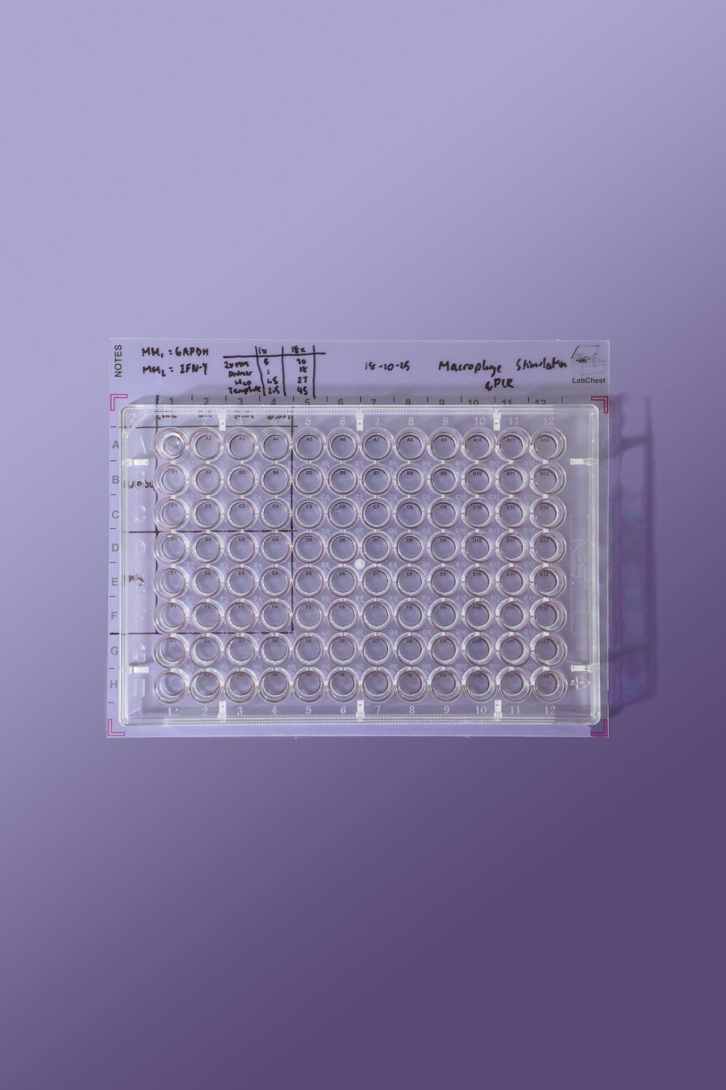 96 Well Microplate Template Sticker