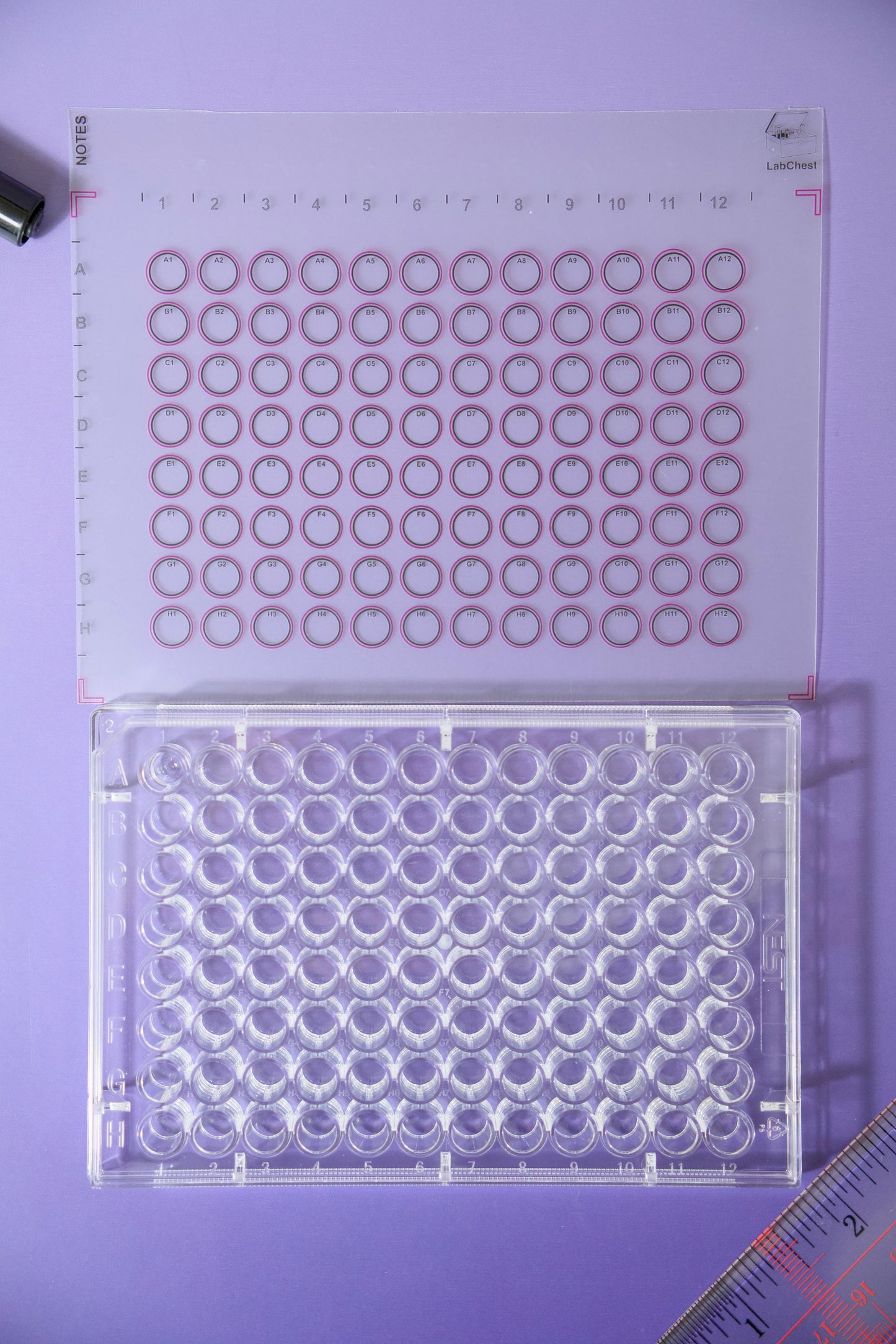 96 Well Microplate Template Sticker