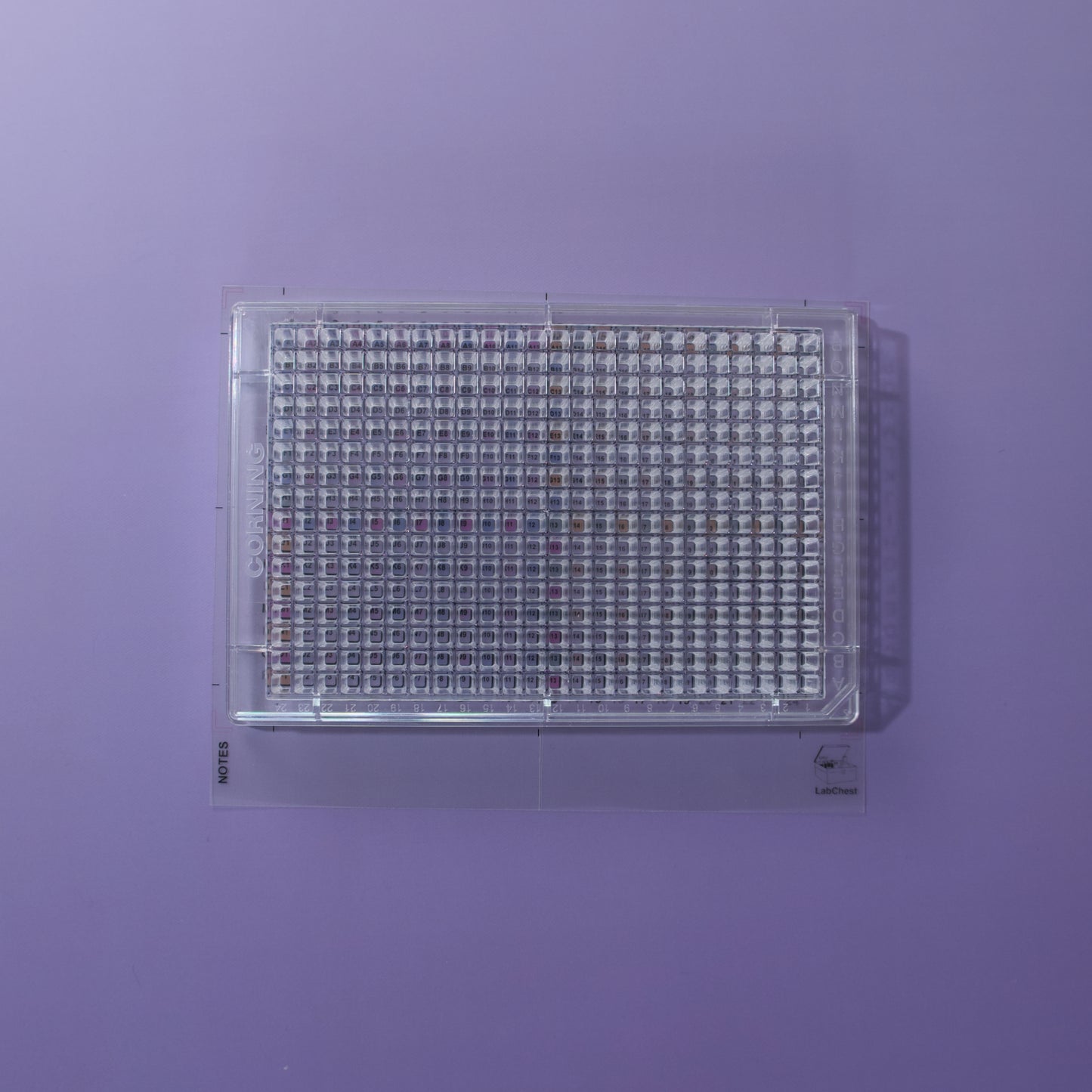 384 Well Template Sticker