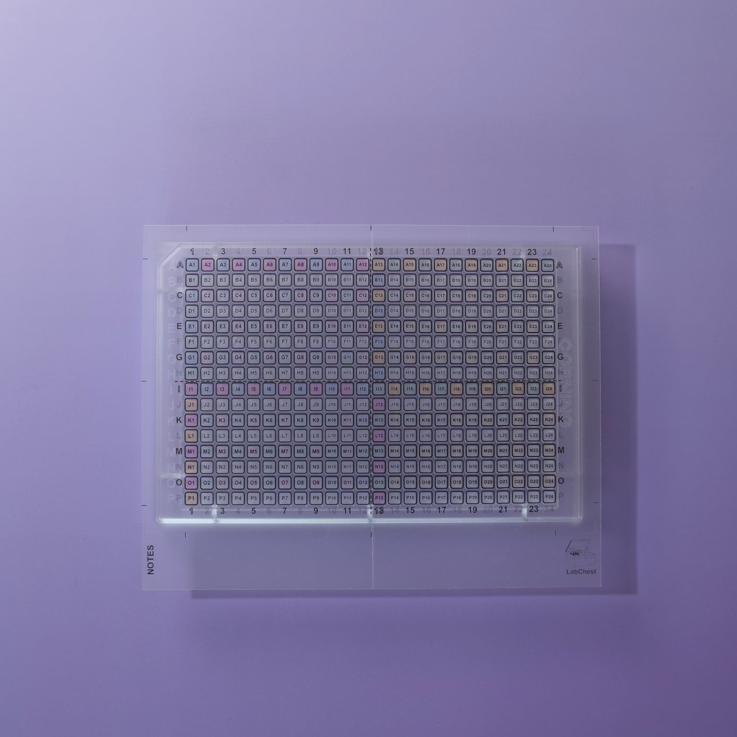 384 Well Template Sticker