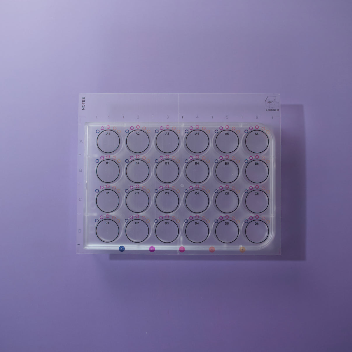 24 Well Template Stickers – LabChest