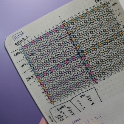 384 Well Template Sticker