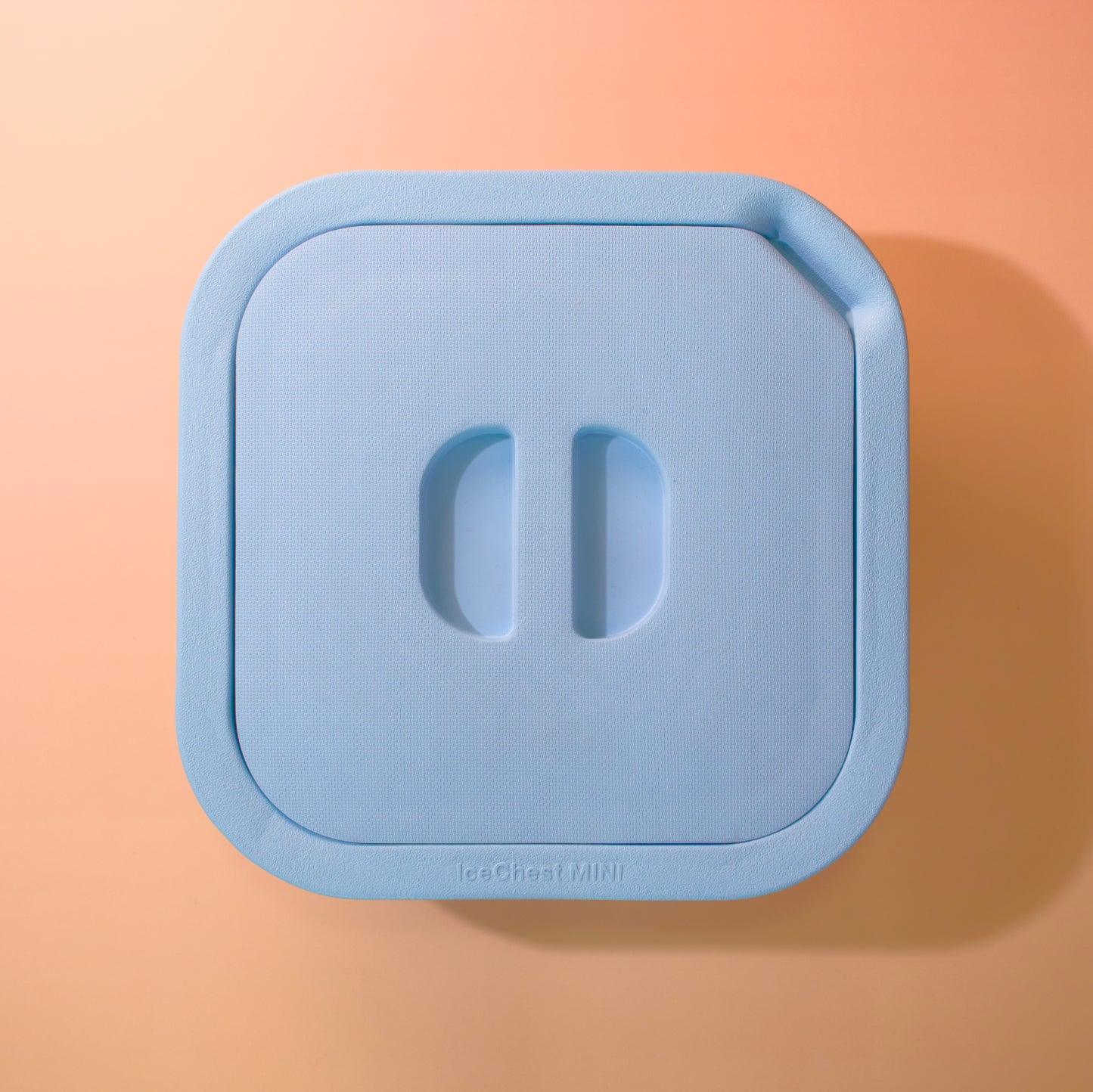 IceChest Mini 1L EVA Foam Ice Box