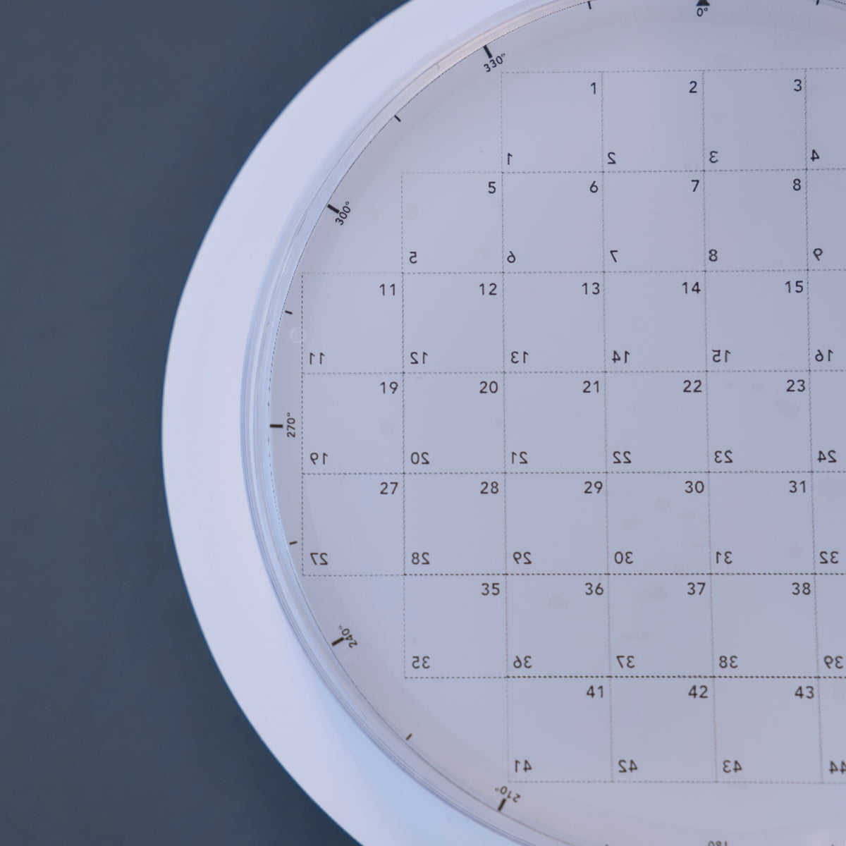 Petri Dish Stickers - 90mm