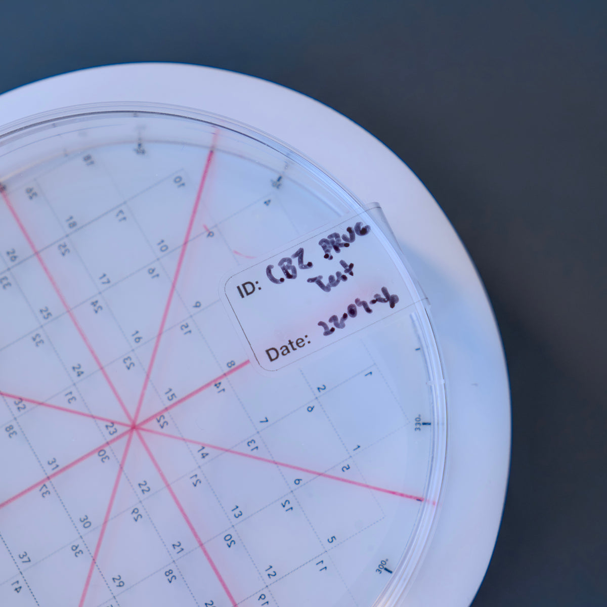 Petri Dish Stickers - 90mm