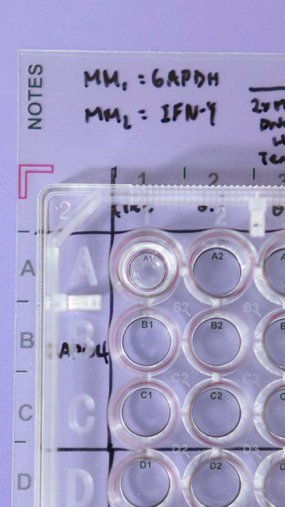 96 Well Microplate Template Sticker