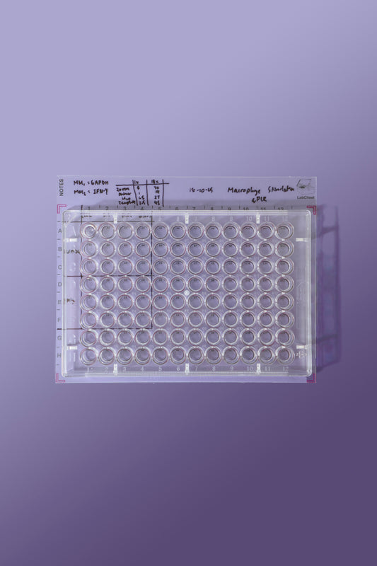96 Well Microplate Template Sticker