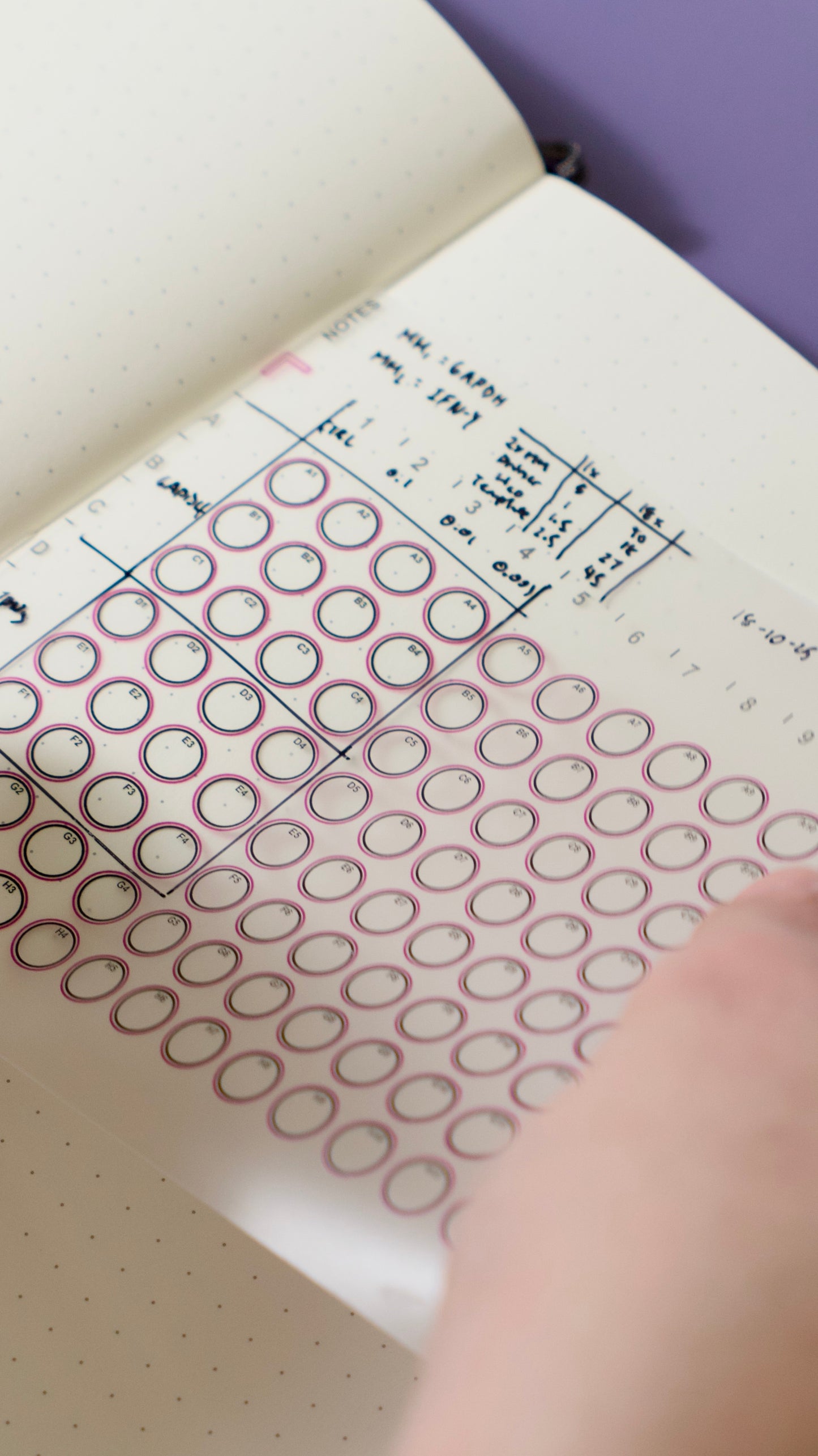 96 Well Microplate Template Sticker