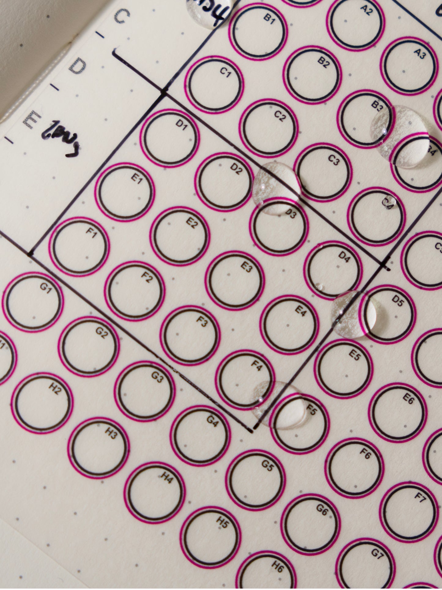 96 Well Microplate Template Sticker